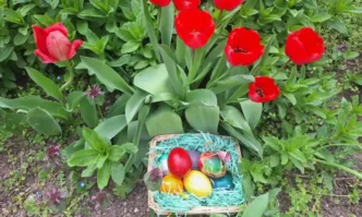 Днес се боядисват яйцата и се пекат козунаците за Великден