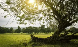 Днес времето ще бъде предимно слънчево Минималните температури ще са