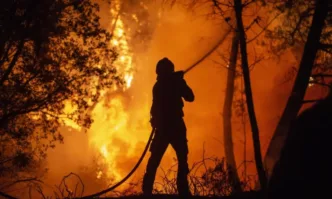 В Испания продължават да се борят с горски пожар в северозападната част на страната