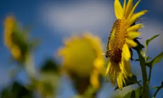 Шест асоциации представляващи земеделски производители и производители от секторите на