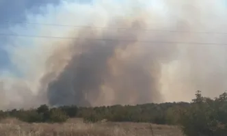 Обявиха частично бедствено положение в Хасковско заради огромния пожар, изпепелил 10 000 декара