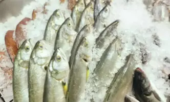 Какво е състоянието на охладената риба и на рибните продукти