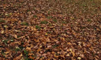 Днес облачността ще е променлива по значителна над планинските райони и