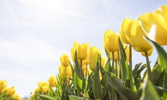 Във вторник над страната ще преобладава слънчево време Над Западна