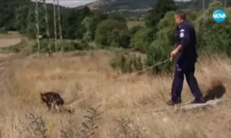 14 часа полицаи от Стрелча и Панагюрище с кучета и