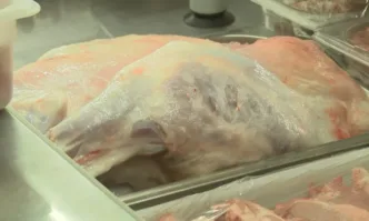 Цената на яйцата у нас се е понижила с 18