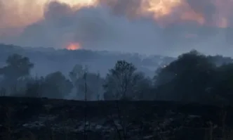 Пожарът в Сакар все още не е потушен