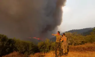 Външно с предупреждение към българите в Гърция заради пожарите
