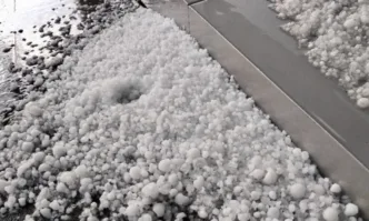 Тахов: Със 100% ще бъдат компенсирани стопаните на пострадали от градушката площи