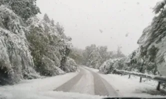 Сняг вали по високите части на Родопите, шофьорите да се движат с повишено внимание