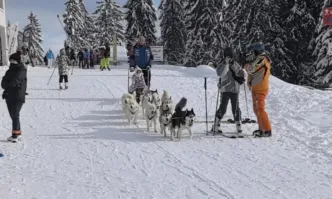Днес официално дават старт на ски сезона в Пампорово Ще