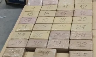 Откриха 40 802 кг кокаин в морски контейнер с банани от