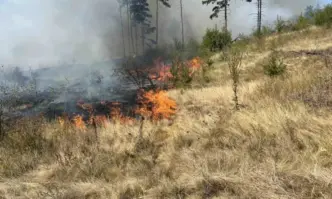 Пожар в района на Държавно горско стопанство в Самоков заплашва