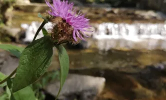 В събота облачността от запад ще се разкъсва и намалява