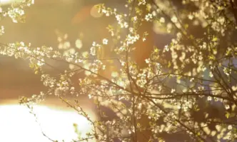 В петък облачността ще остане разкъсана на много места до