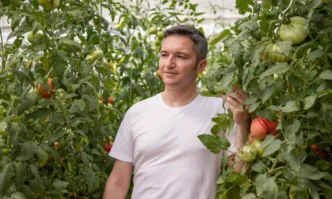 Вигенин се снима сред доматите в Цалапица