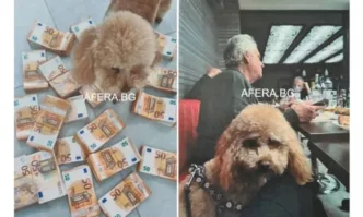 Софийският градски съд СГС остави в ареста хасковския бизнесмен Марин