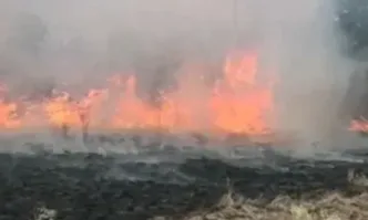 Пожарът в Пазарджишко: Два хеликоптера се включват в гасенето