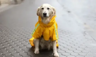 В четвъртък ще преобладава слънчево време Ще духа слаб вятър