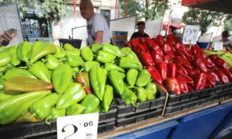 В Европа насажденията в оранжериите са намалели с 30 40 заради