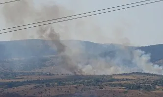 Огромният пожар над с. Виден, община Павел баня пламна отново