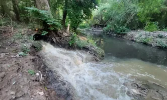 Екологична катастрофа в парк Въртопо Това са невидимите щети от