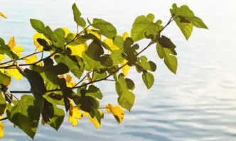 Старт на горещата вълна: Времето остава слънчево, жегите се усилват