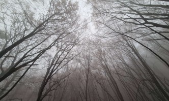 Днес преди обяд ще има по съществени разкъсвания и намаления на