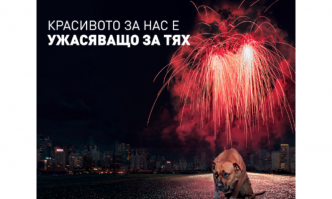Кампанията на фондация Четири лапи е под наслов Красивото за