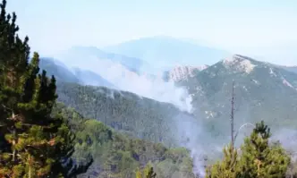Около 30-40 метра е навлязъл пожарът от Гърция на българска територия (ВИДЕО)