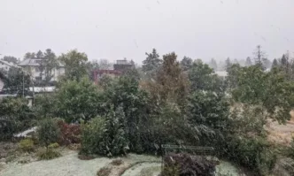 Боян Рашев: Аре, изтрезнявайте, другарки и другари, самопровъзгласени спасители...