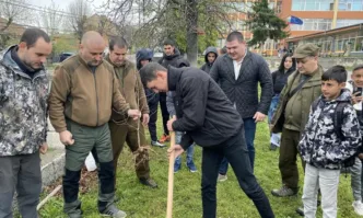 Три дръвчета бяха засадени на 7 април в двора на