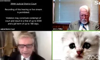 Адвокат се появи пред виртуалния съд в Тексас като котка
