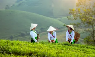 МТСП: Броят на виетнамците, които работят у нас, е около 230 души