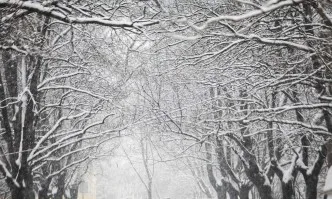 Зимата се завърна, България е покрита със снежна покривка