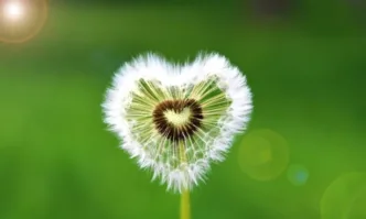 Слънчева събота с кратки валежи