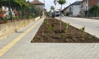 Засадени са 170 дръвчета в обновените тротоарни пространства по ул. Иван Вазов в Луковит