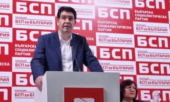 БСП е масова партия с основна роля в политическия живот