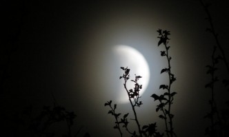 Пълнолунието на 19 ноември е придружено с частично лунно затъмнение
