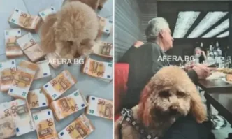 Сценарият Пудел с пачки – сезон 2: Героите на Промяната се правят на следователи