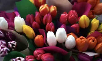 60 на сто ще подарят цвете на майка си а