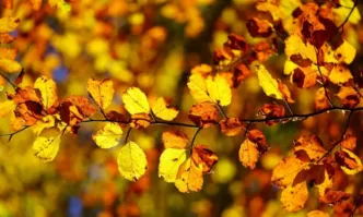 В събота и неделя времето ще остане неустойчивоПромяна в обстановката