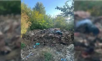Разбиха нелегална кланица за коне край Сливен: Открити са близо 200 кг месо