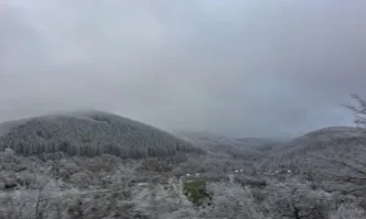 Трима мъже са открити мъртви в близост до опожарена хижа