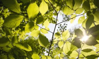 В сряда утрото ще е студено и на места в