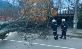Ураганен вятър нанесе щети и във Враца