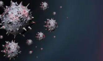 СЗО против намесата на политици в разследване на произхода на коронавируса