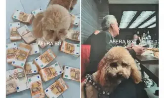 От Фейсбук профила на Ивелин НиколовДенков призовава да обвинят пудела