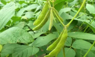 От Фейсбук профила на Цветомир ГлоговскиДнес няма да Ви пиша