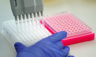 Според данните на Единния информационен портал през последното денонощие у